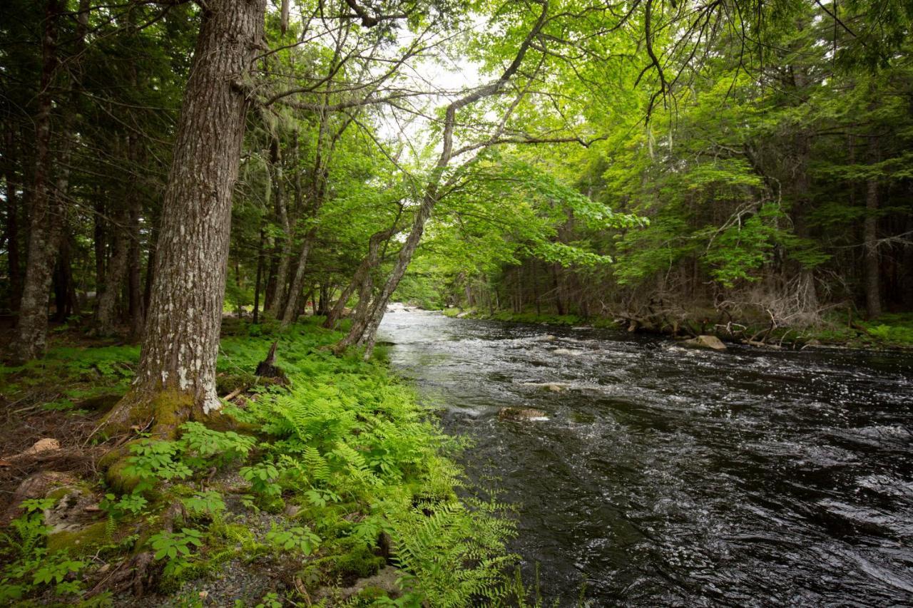 Mersey River Chalets A Nature Retreat Caledonia 외부 사진