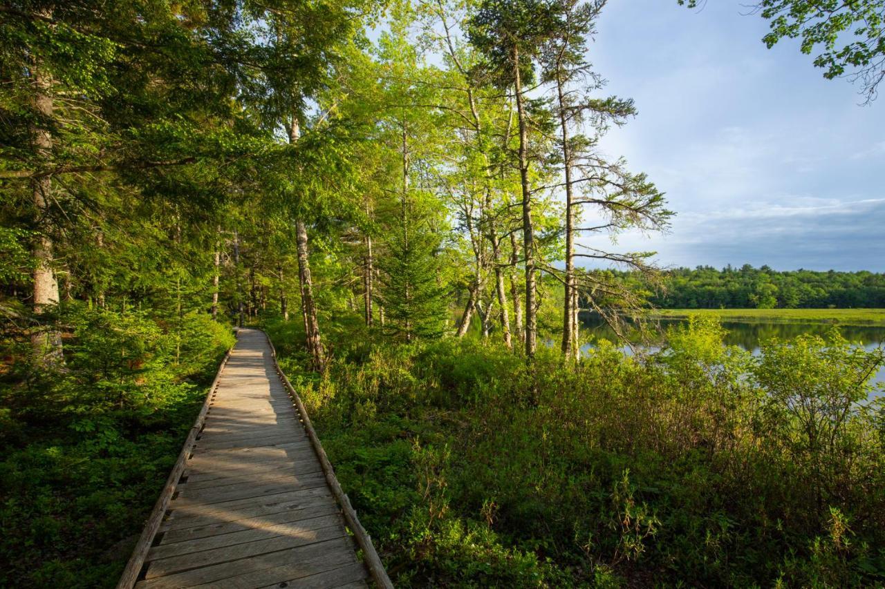 Mersey River Chalets A Nature Retreat Caledonia 외부 사진