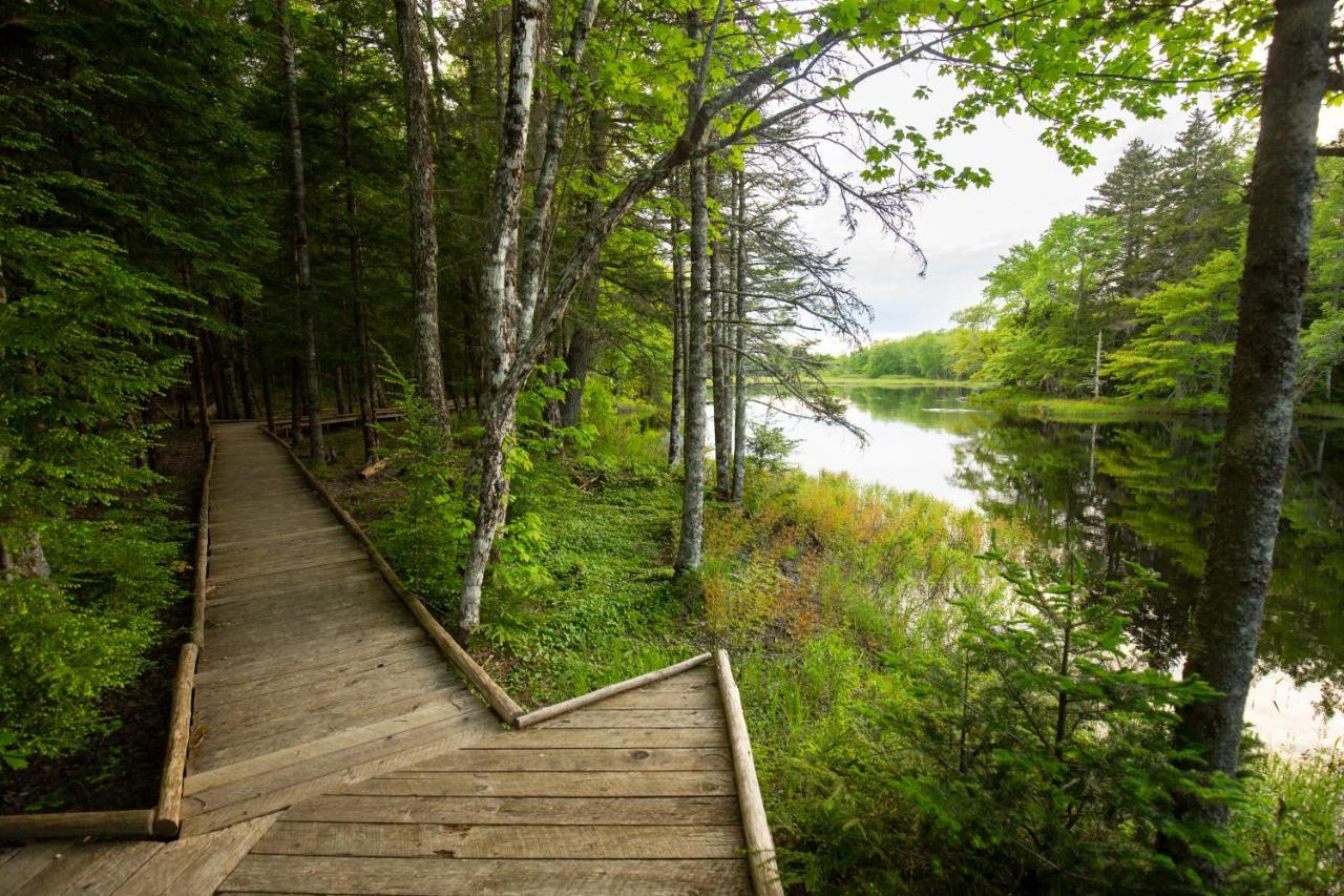 Mersey River Chalets A Nature Retreat Caledonia 외부 사진
