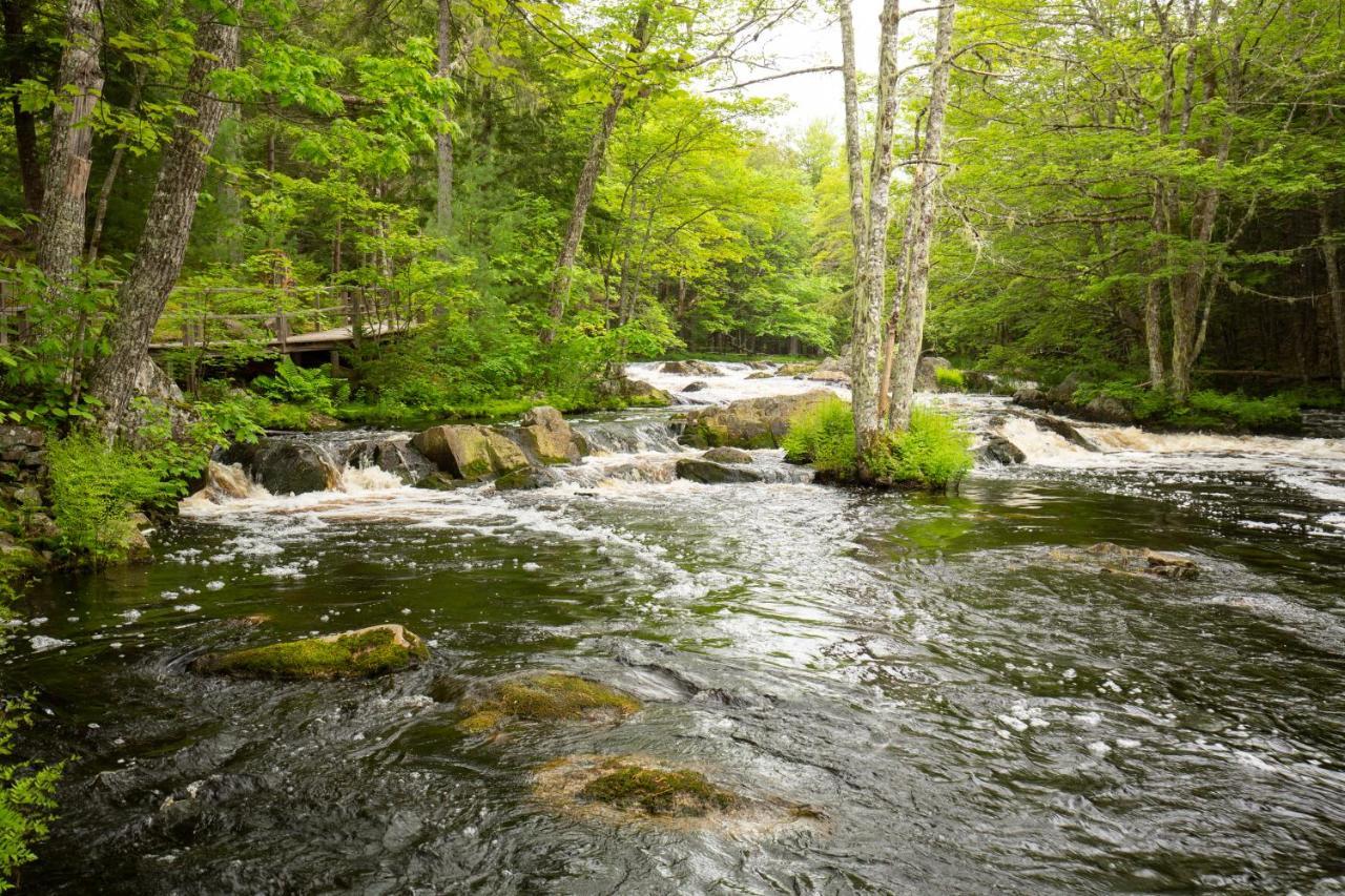 Mersey River Chalets A Nature Retreat Caledonia 외부 사진