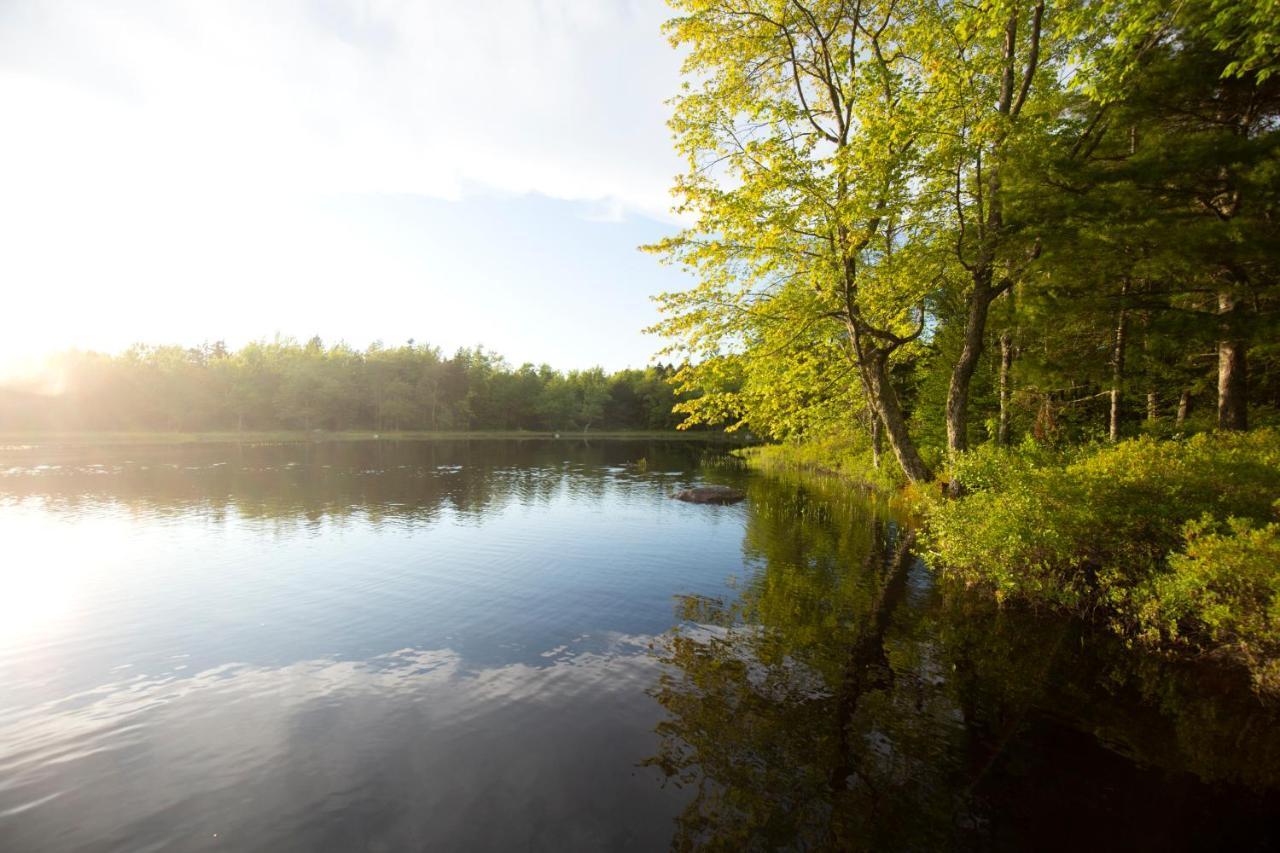 Mersey River Chalets A Nature Retreat Caledonia 외부 사진