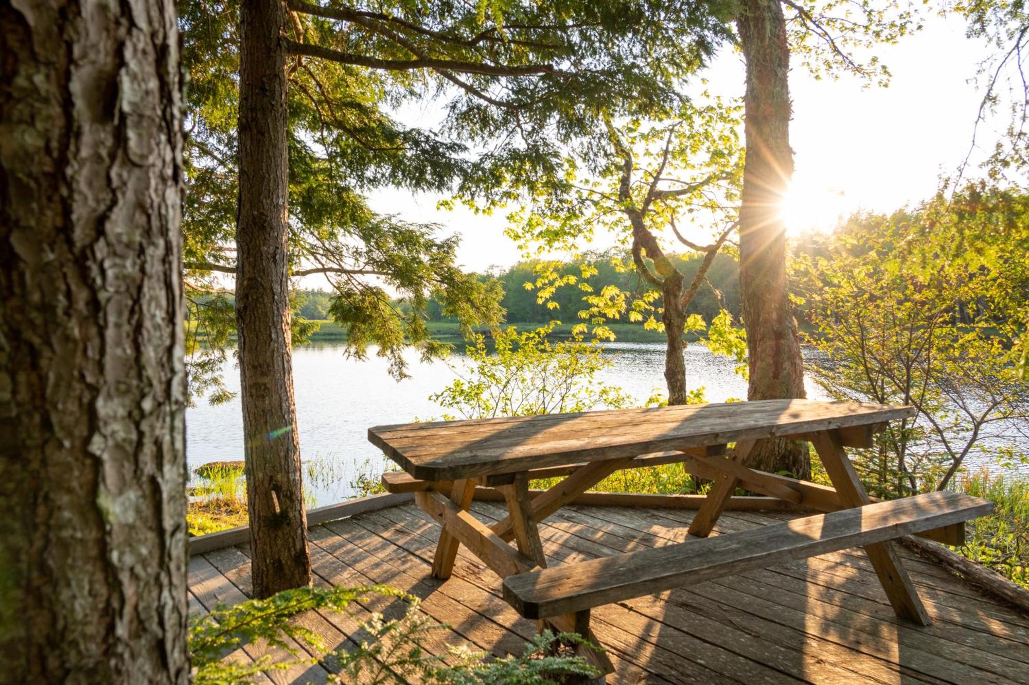 Mersey River Chalets A Nature Retreat Caledonia 외부 사진
